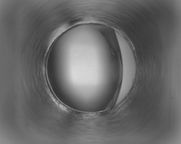 X0000076330813200610201703