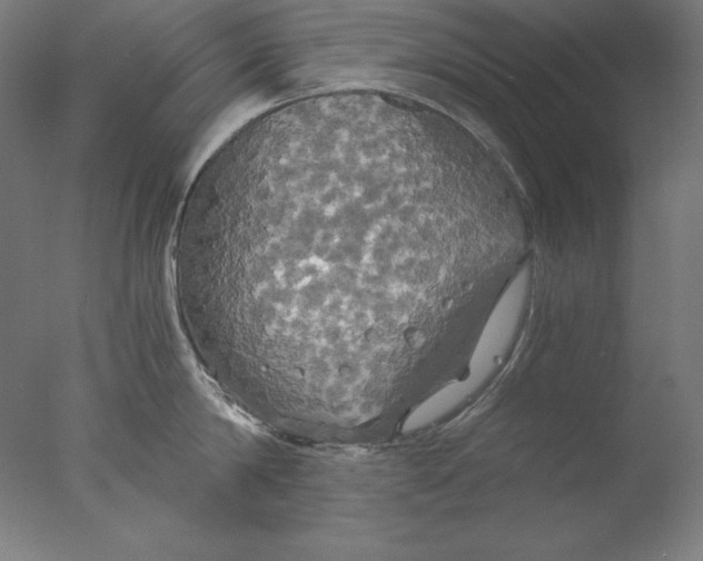 X0000076330814200610201703