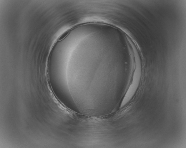 X0000076330815200610201703