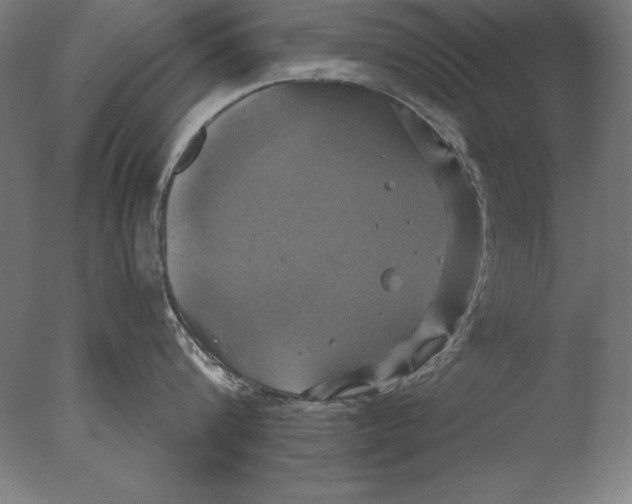 X0000076330816200610201703