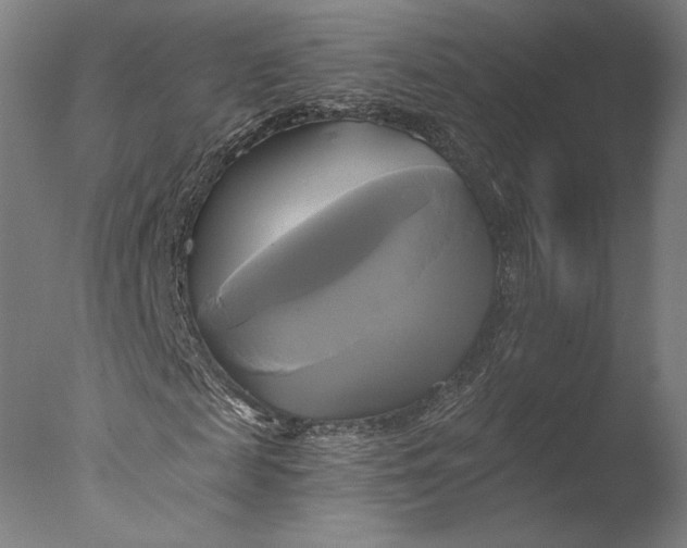 X0000076330817200610201702