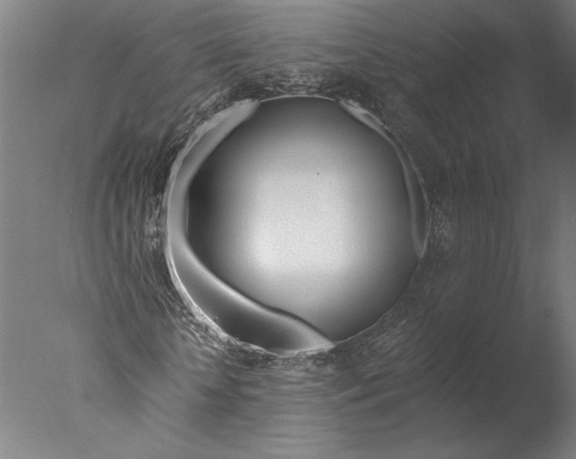 X0000076330818200610201702