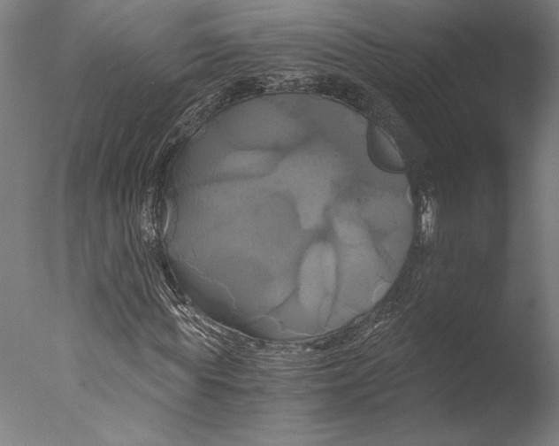 X0000076330819200610201702