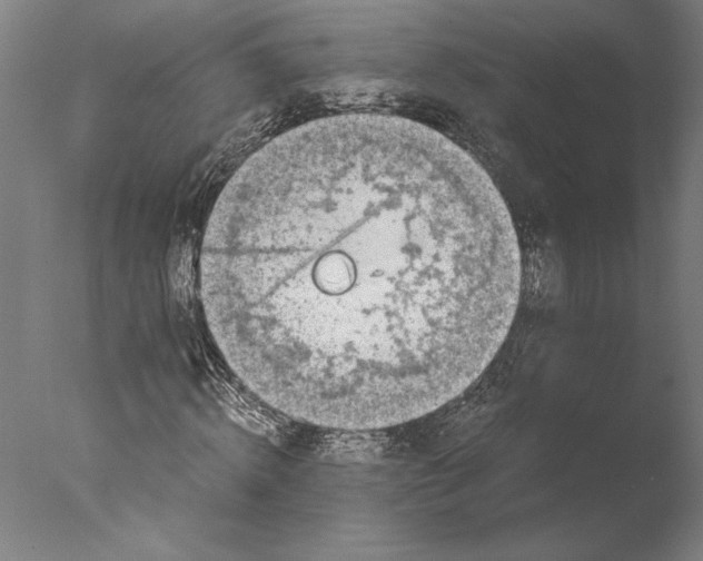 X0000076330820200610201702