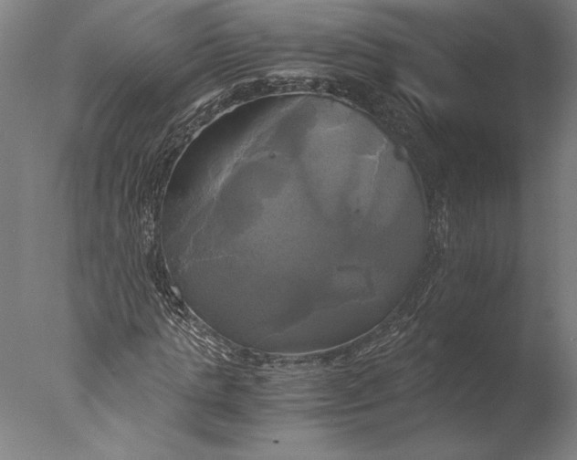 X0000076330821200610201702