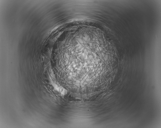 X0000076330822200610201702