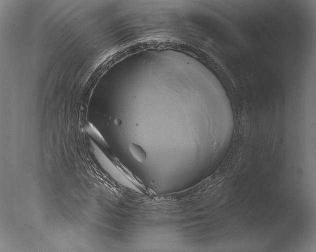 X0000076330823200610201702