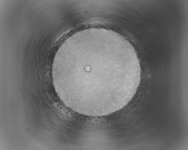 X0000076330824200610201702