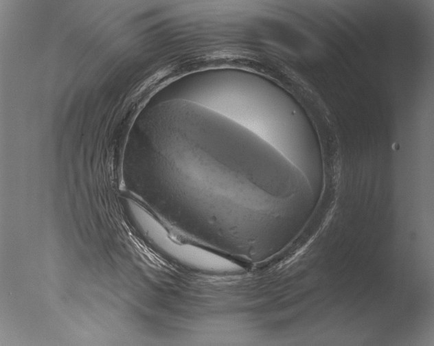 X0000076330825200610201702