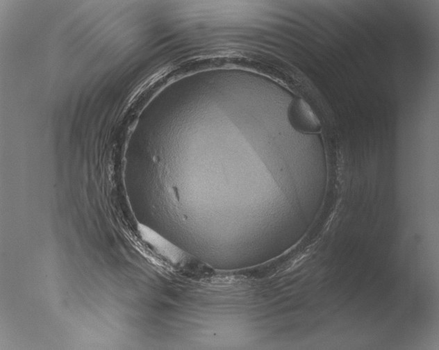 X0000076330826200610201702