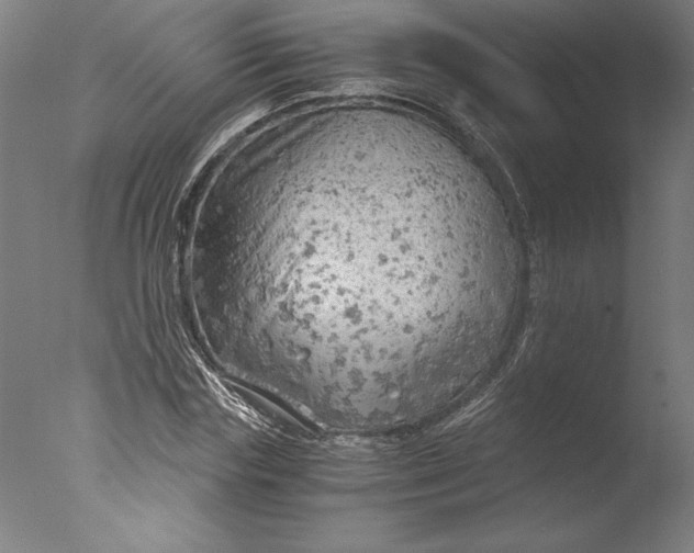 X0000076330827200610201702