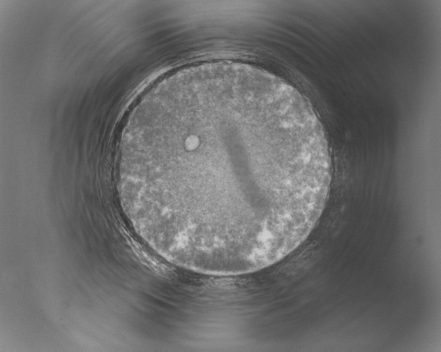 X0000076330828200610201702