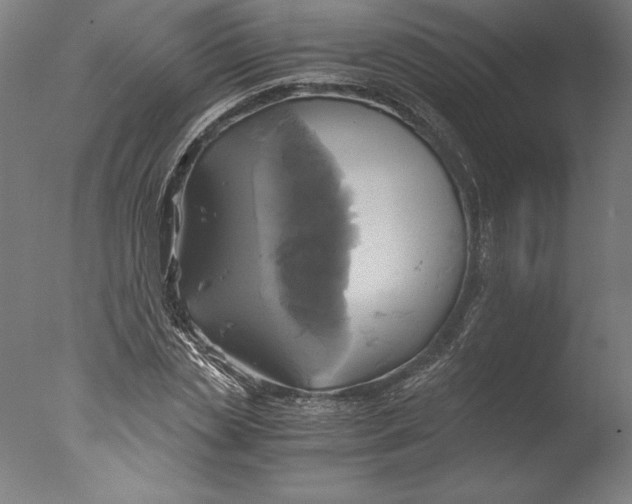 X0000076330829200610201702