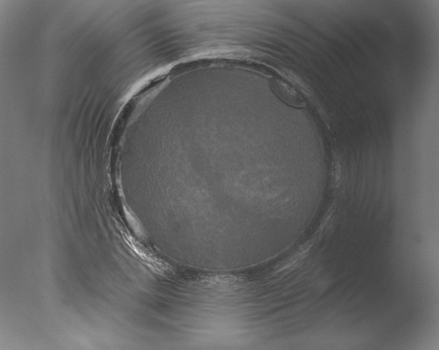 X0000076330830200610201702