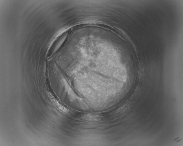 X0000076330831200610201702