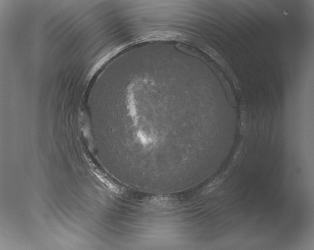 X0000076330834200610201702