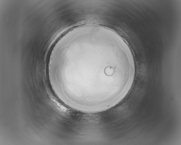 X0000076330836200610201702