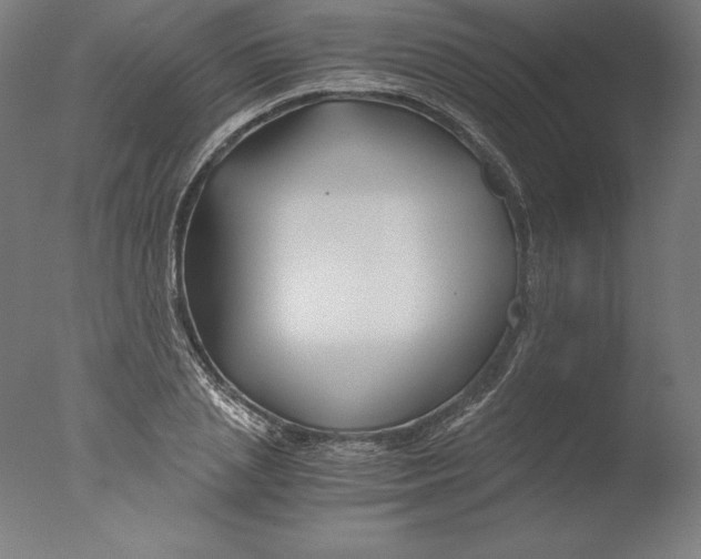 X0000076330837200610201702