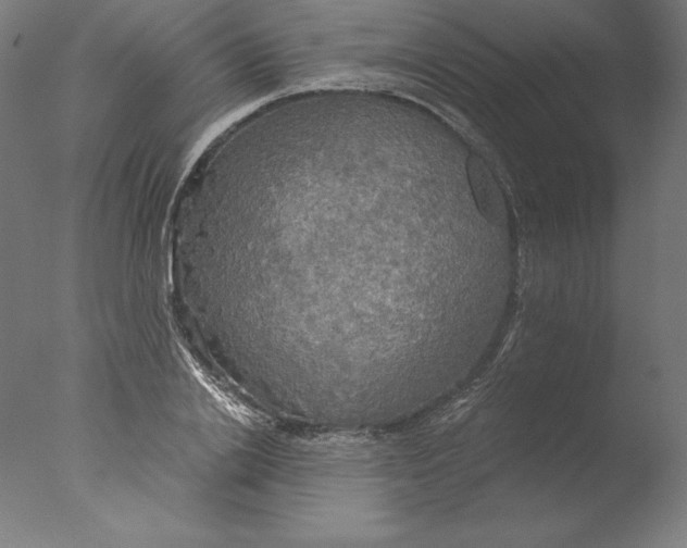 X0000076330838200610201702