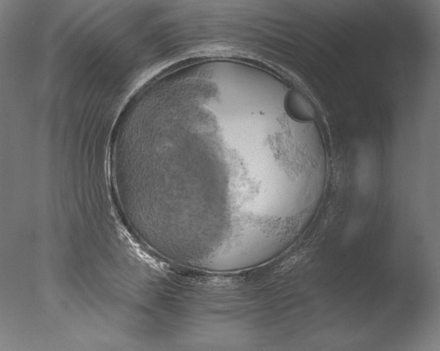 X0000076330839200610201702