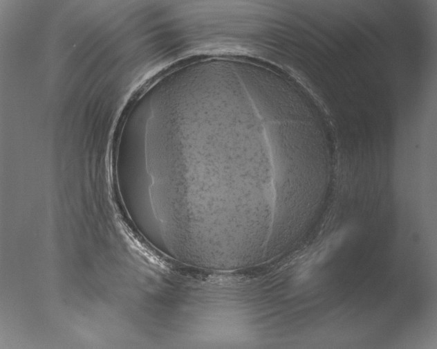 X0000076330840200610201702