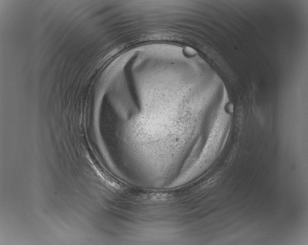 X0000076330841200610201702