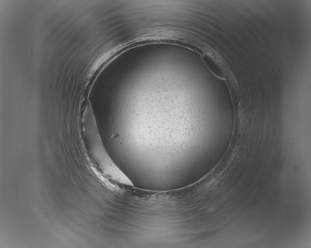 X0000076330842200610201702