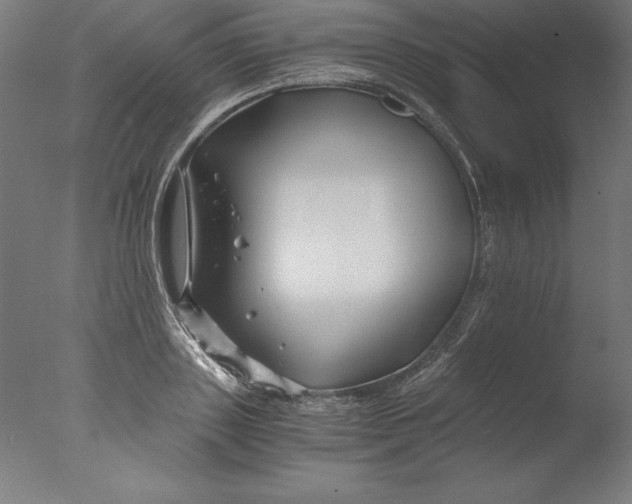 X0000076330843200610201702