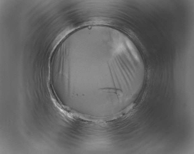 X0000076330844200610201702