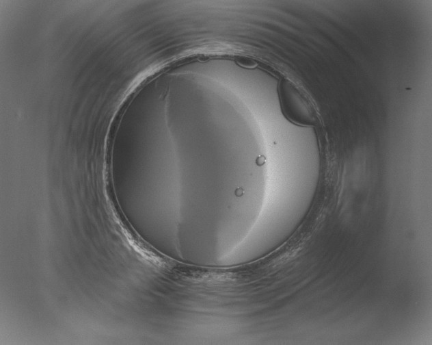 X0000076330845200610201702