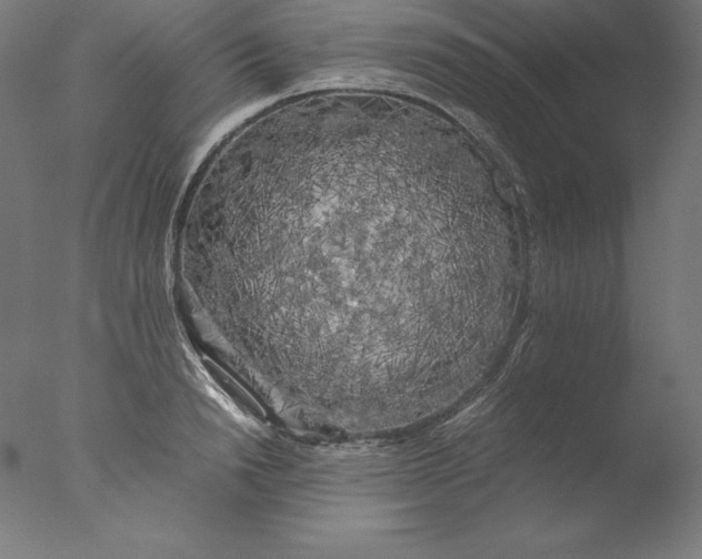 X0000076330846200610201703