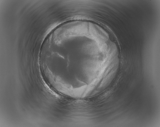 X0000076330847200610201703