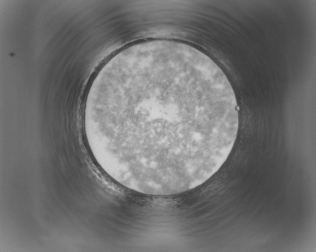 X0000076330848200610201703