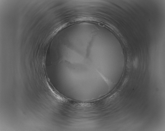 X0000076330849200610201703