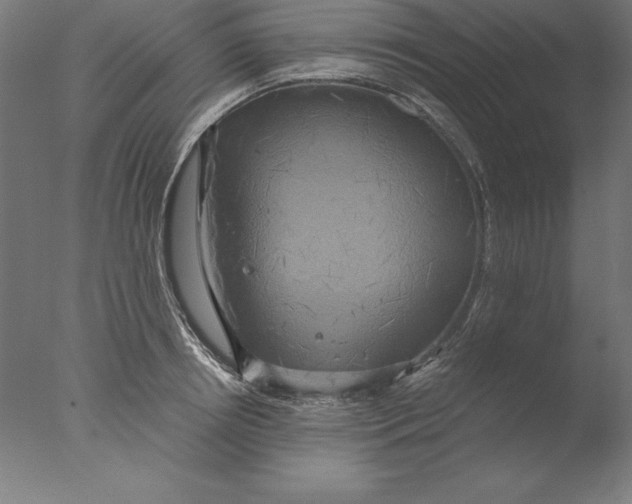 X0000076330850200610201703