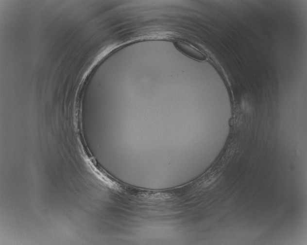 X0000076330851200610201703