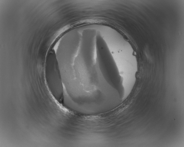 X0000076330853200610201703