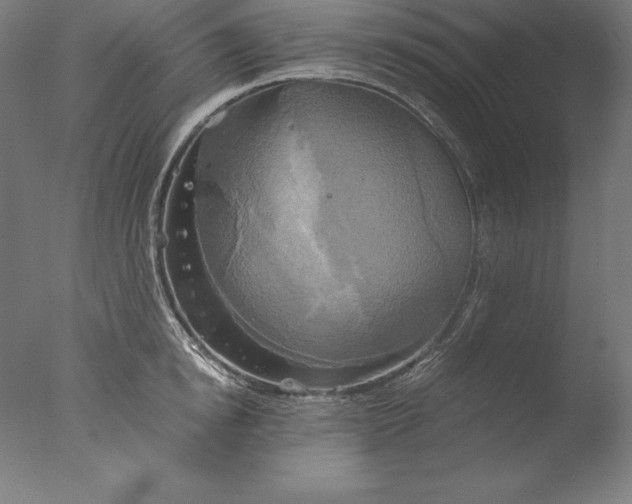 X0000076330854200610201703