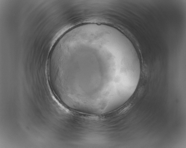 X0000076330855200610201703