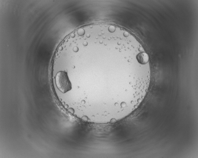 X0000076330856200610201703