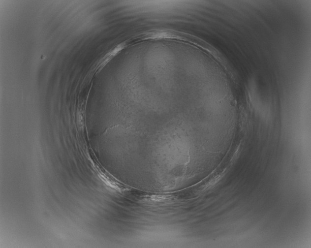 X0000076330857200610201703