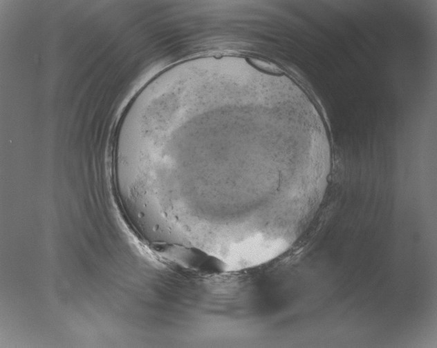 X0000076330859200610201703