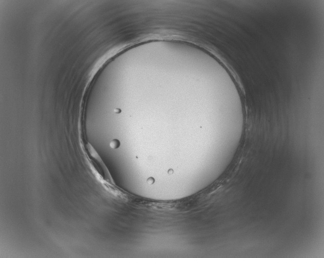 X0000076330861200610201703