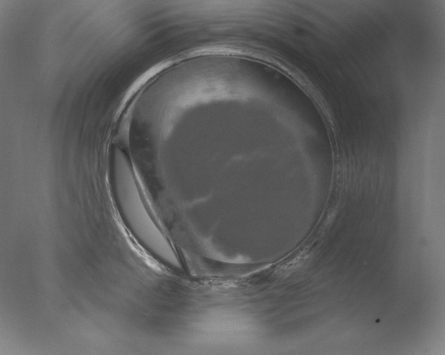 X0000076330862200610201703