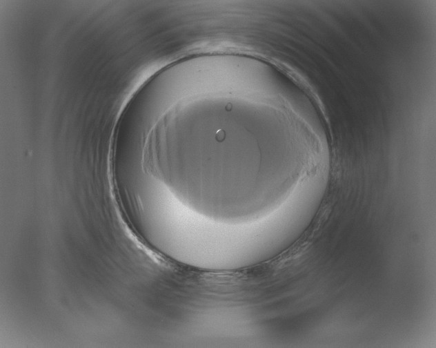 X0000076330863200610201703