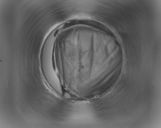 X0000076330864200610201703