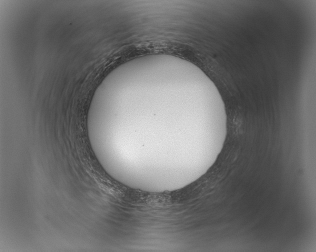 X0000076330865200610201702