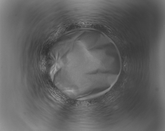 X0000076330866200610201702