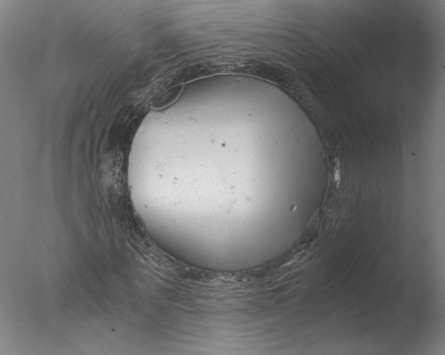 X0000076330867200610201702