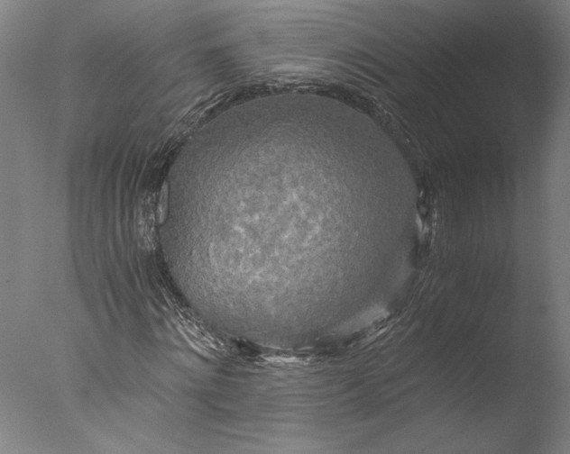 X0000076330868200610201702